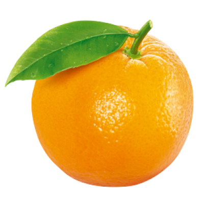 Profile photo of orange