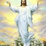 Profile photo of drenkaby