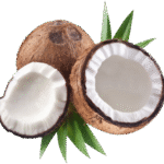 Coconut