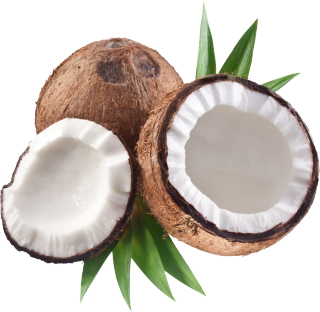Coconut