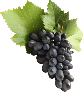 Grapes